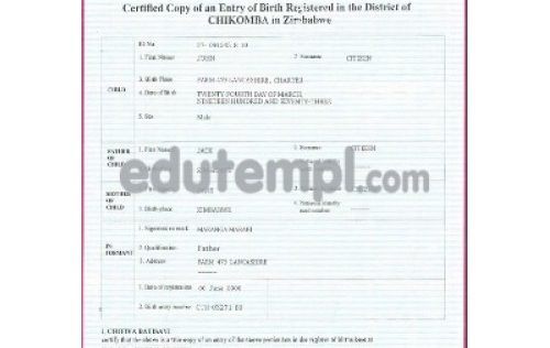 Zimbabwe birth certificate template